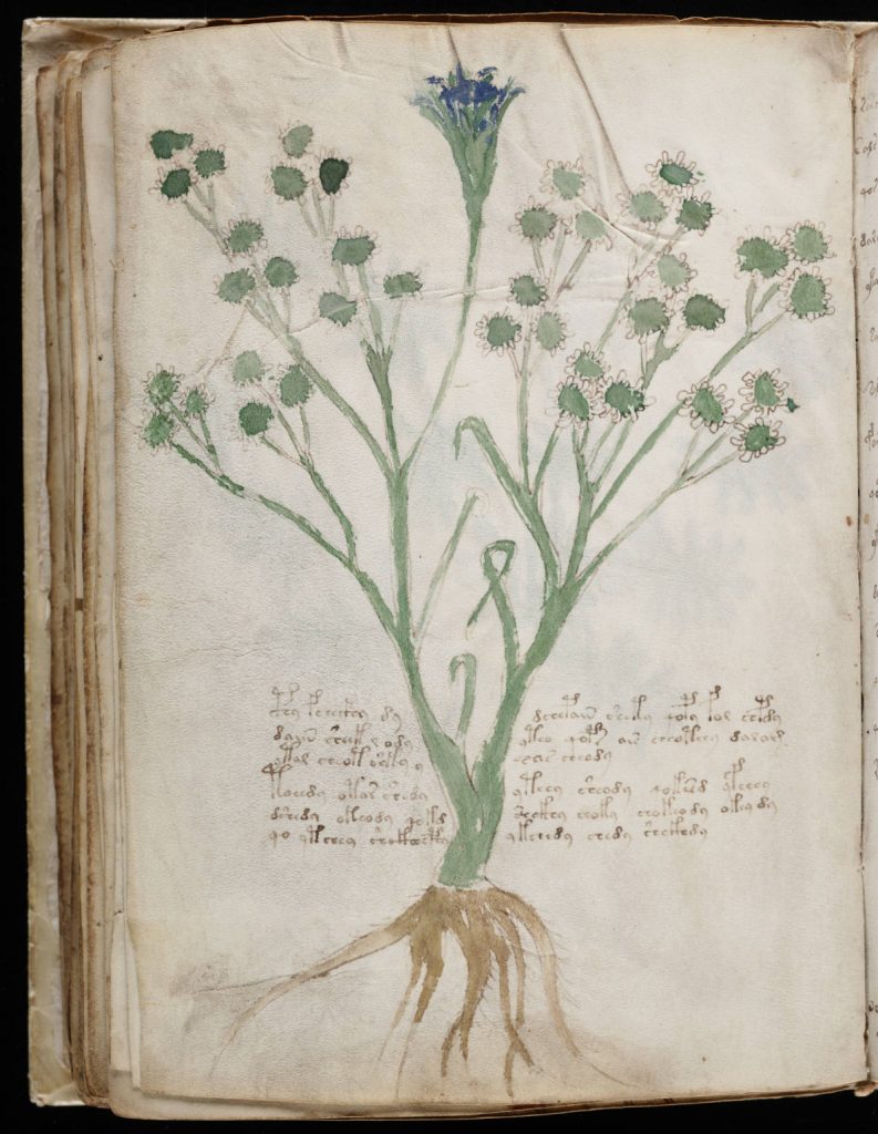 The Voynich Manuscript: Finding Meaning In Meaninglessness – The Yale ...